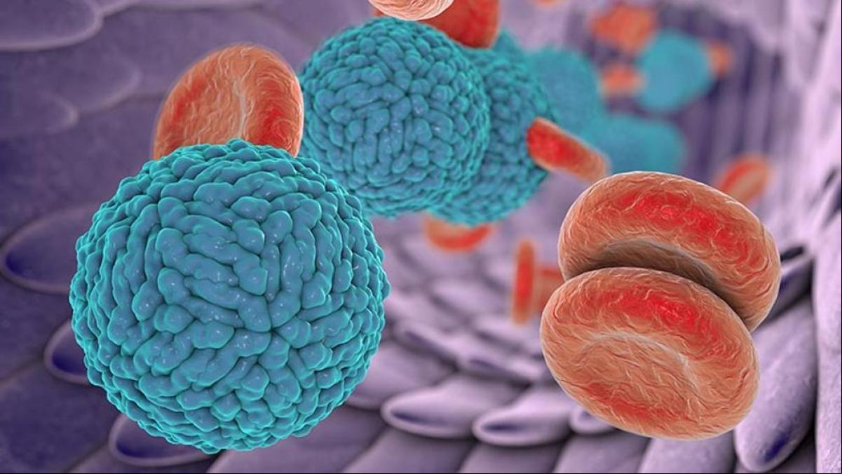 Qué es el dengue, síntomas y tratamiento