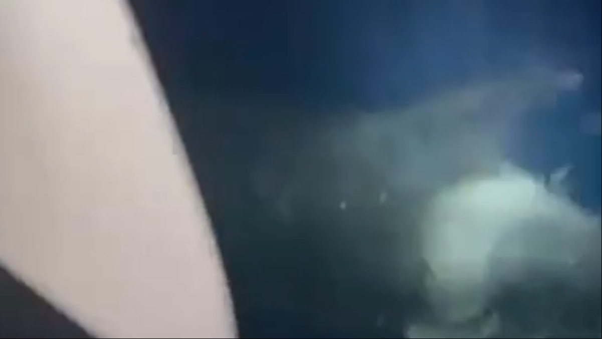 Cuatro orcas atacan un velero en el Estrecho de Gibraltar