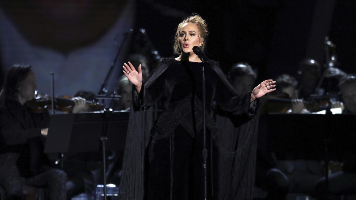 Adele interrumpe su actuación para defender a un fan de un guardia de seguridad