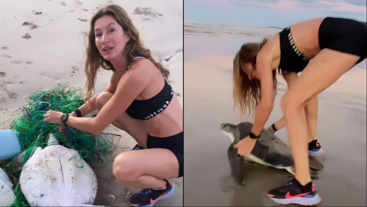 Gisele Bundchen y el angustioso rescate a una tortuga atrapada en unas redes