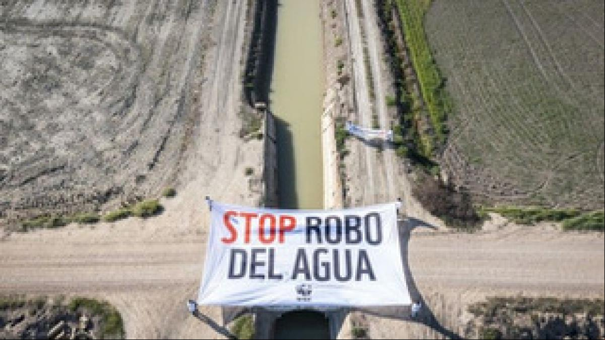 Doñana y las guerras de la fresa