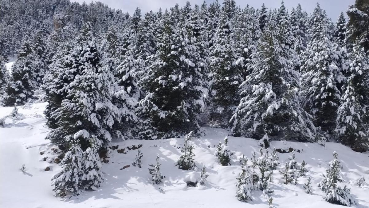 Espléndida nevada de primavera en la Masella