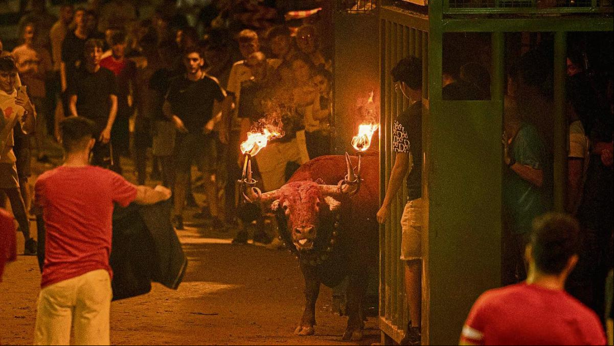 Muere un hombre corneado en los bous al carrer de la Pobla de Farnals