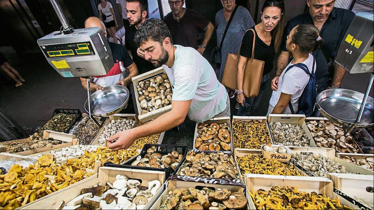 El cep marca el inicio de la temporada de la seta