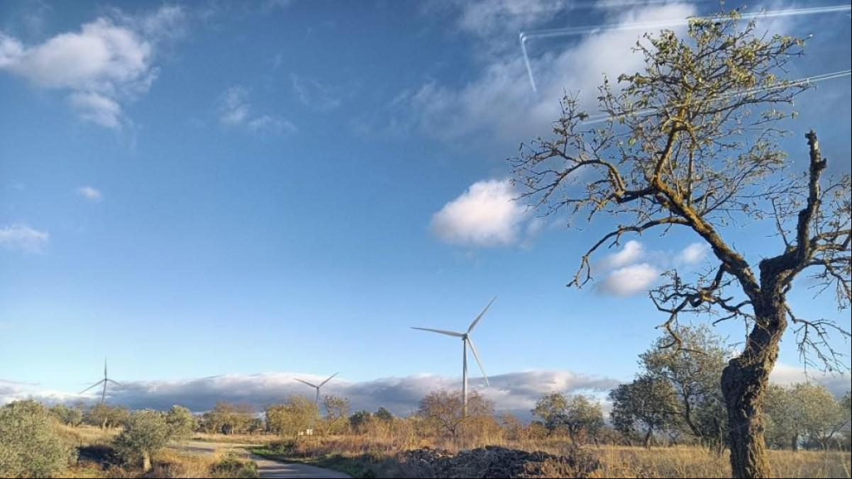 Leader de Ponent, Llardecans, Torrebesses y Almatret crean una cooperativa de energía