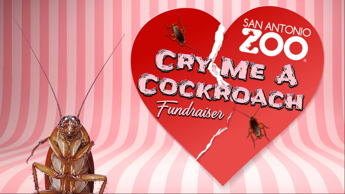 Un zoológico ofrece a los visitantes ponerle el nombre de un ex a una cucaracha y dársela de comer a un animal