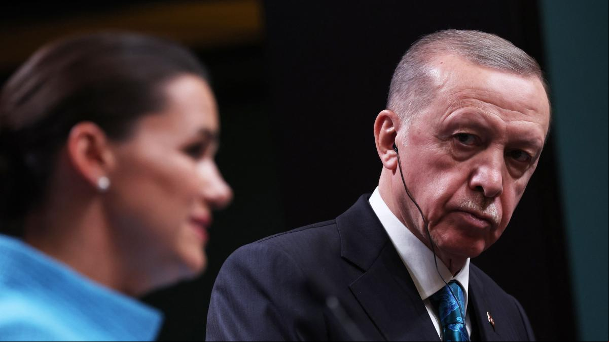 Putin inaugurará el mes que viene la central nuclear rusa en Turquía, según Erdogan