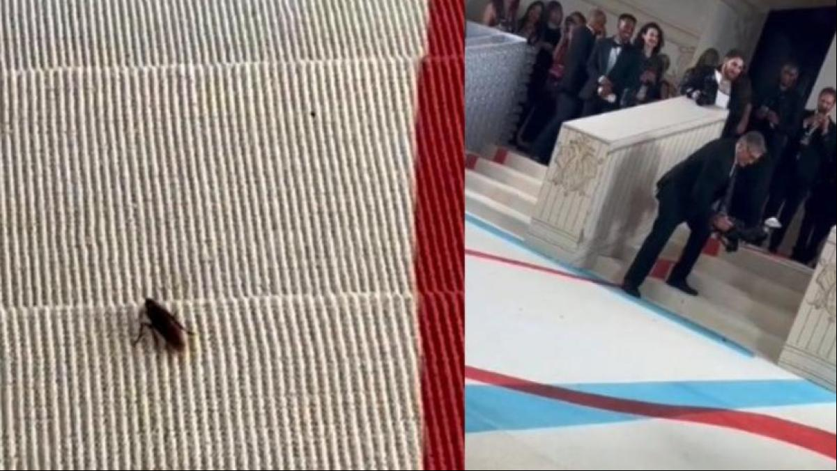 Una cucaracha se convierte en protagonista inesperada de la alfombra roja de la gala Met 2023