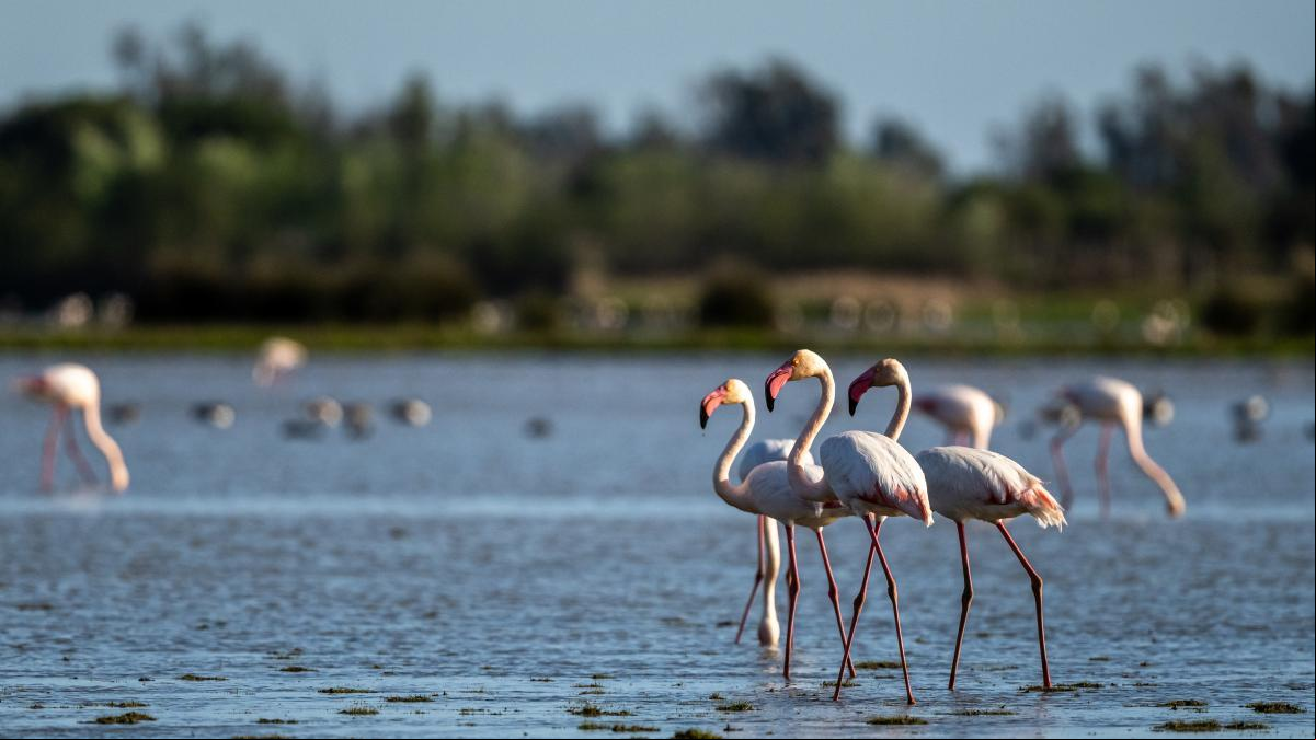 Nuestros acuíferos, un recurso vital a proteger