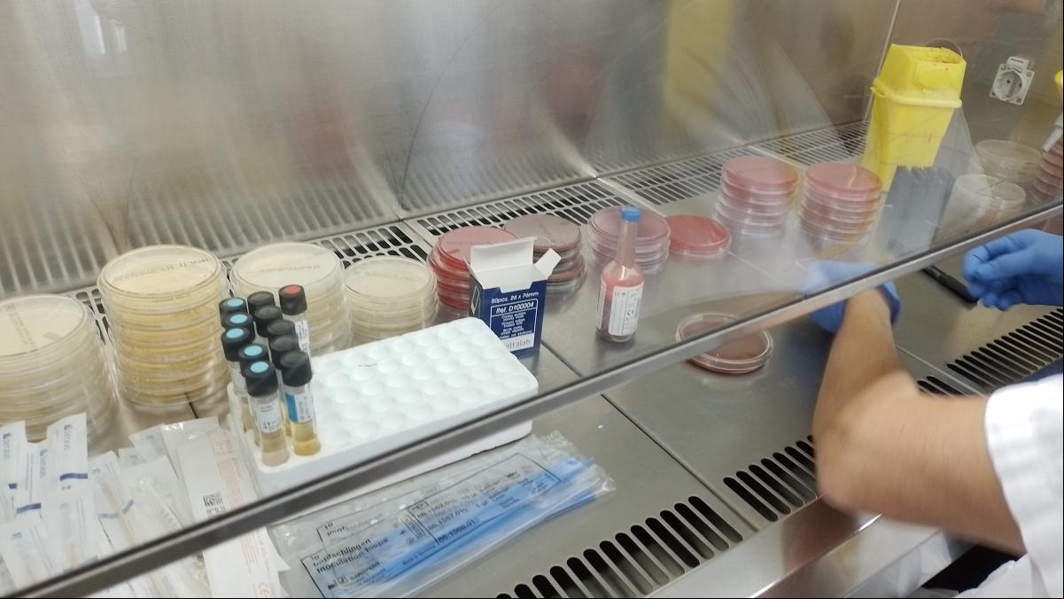 La nueva pandemia: Casi 25.000 muertos al año por resistencia a las bacterias