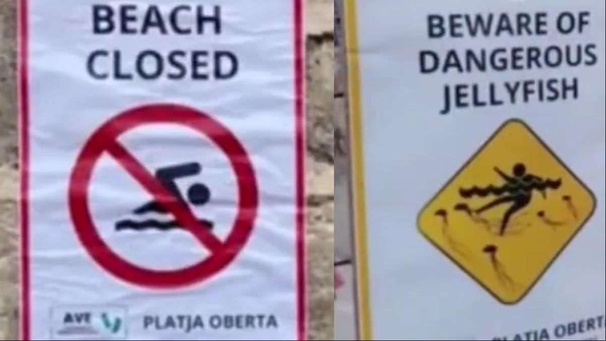 Los carteles para engañar a turistas en Mallorca que han causado revuelo