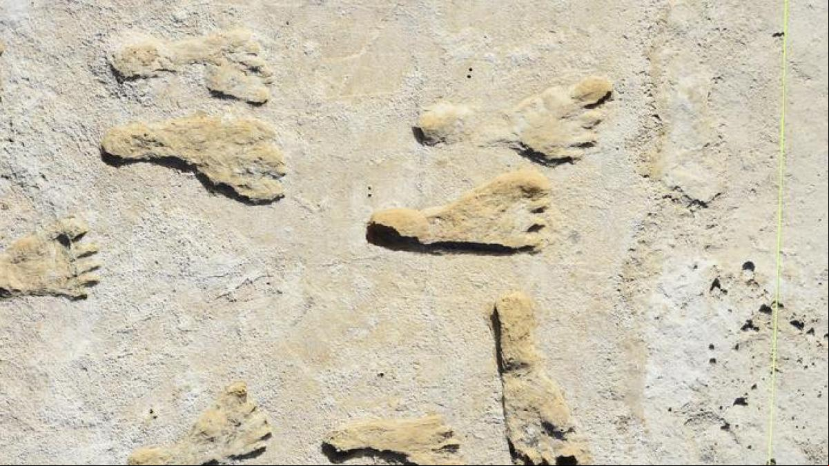 Los humanos llegaron a América 7.000 años antes de lo que se pensaba