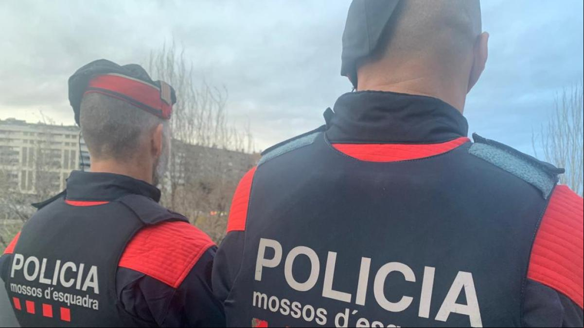 Atrapan in fraganti a cuatro ladrones robando más de mil metros de cable de cobre en Albons