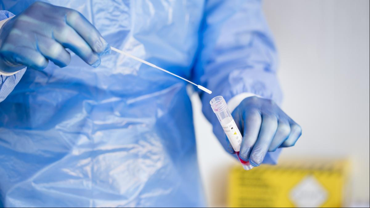 ¿Es posible una prueba más rápida y económica que la PCR para detectar patógenos?