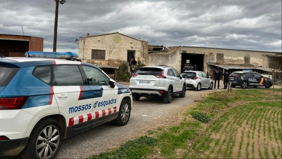 Cae una red criminal dedicada a concertar parejas de hecho falsas en Barcelona y Girona