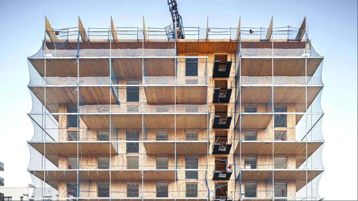 El CLT, el mejor aliado de edificios y bosques