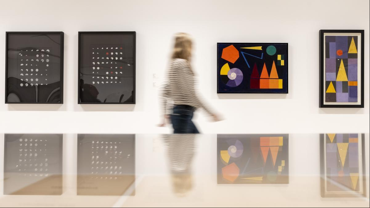 El IVAM, un museo sin rumbo