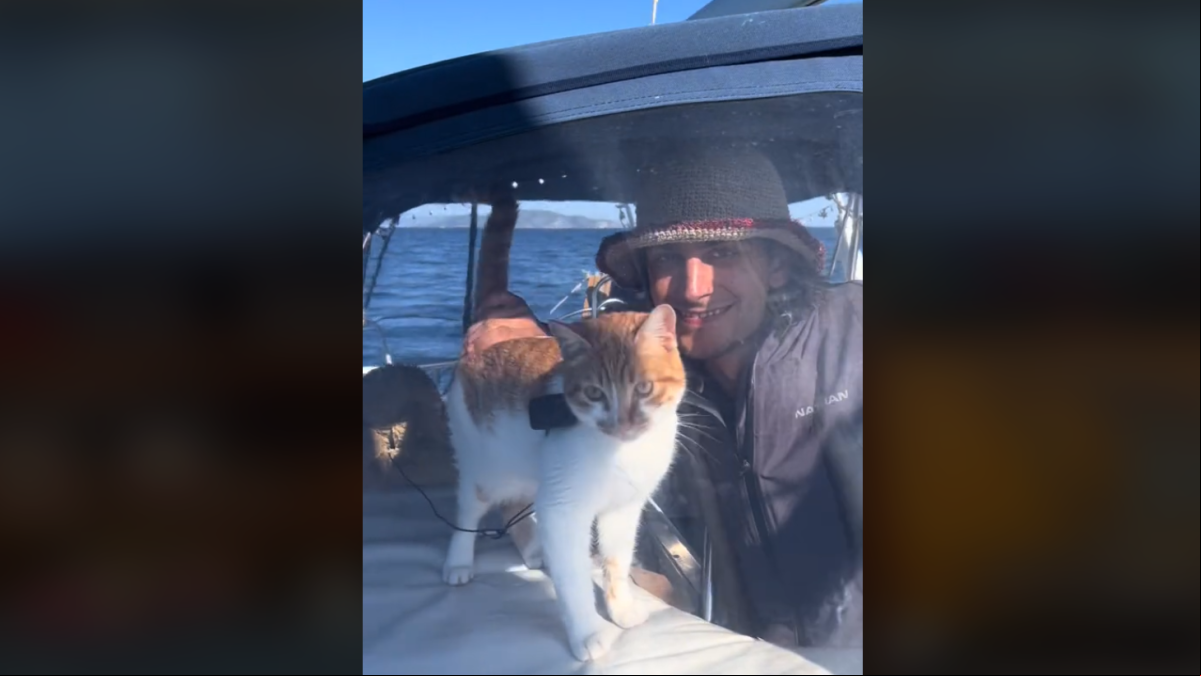 Enseña las cosas favoritas de su gato al ir en barco y la gente alucina