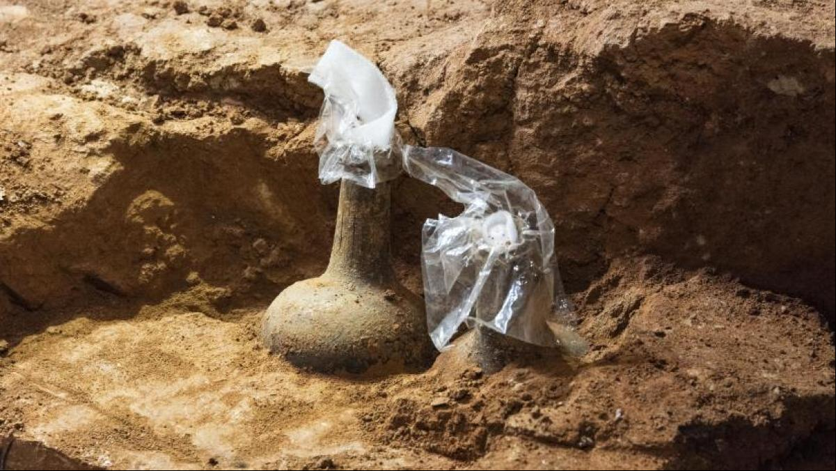 El alijo de cerezas de George Washington que estaba escondido bajo el suelo de Mount Vernon
