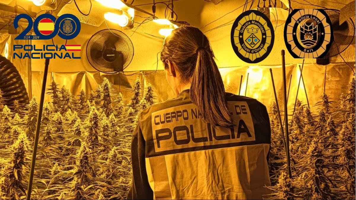 Tres detenidos en dos operaciones policiales contra el cultivo de marihuana en Salt y Vilobí dOnyar