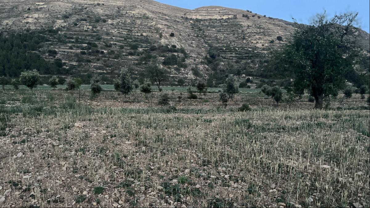 La sequía aprieta en Teruel