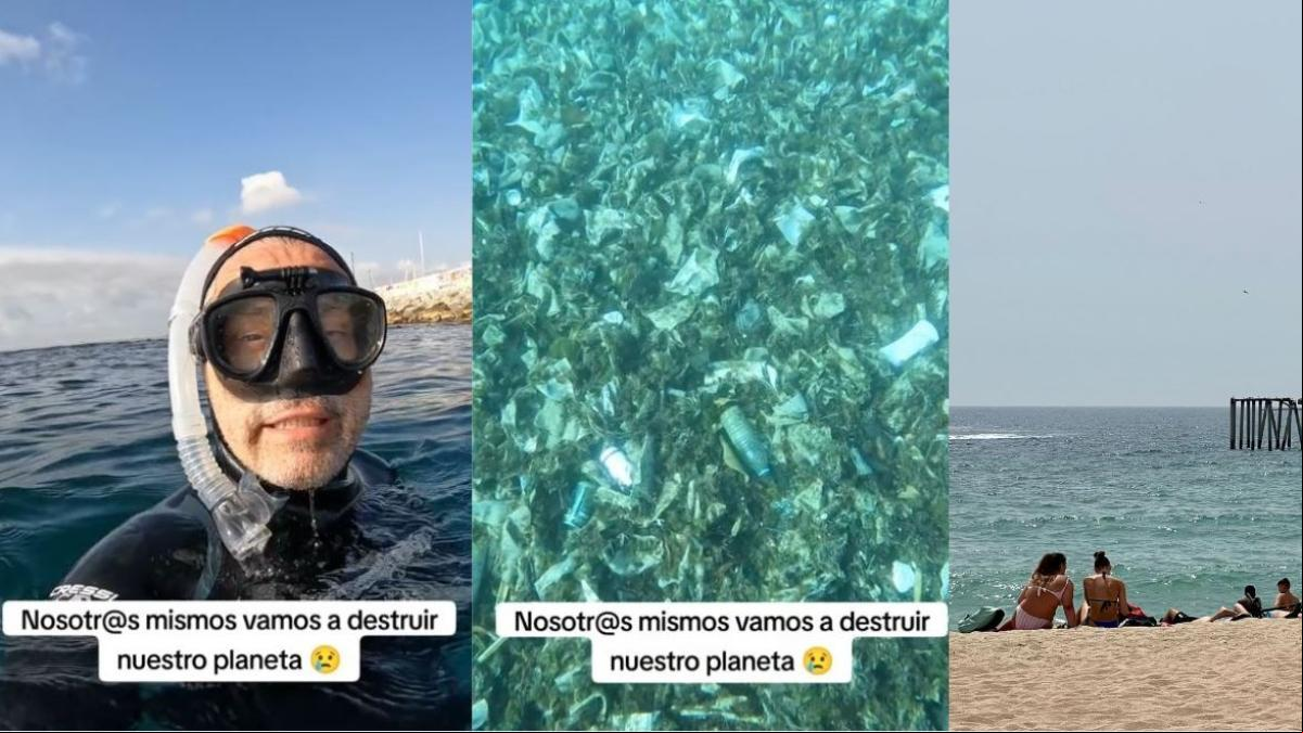 El vídeo que muestra cómo está el fondo marino de Badalona: “Es un auténtico desastre”