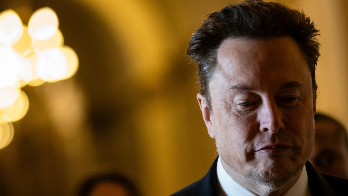 Elon Musk, agente del desorden internacional