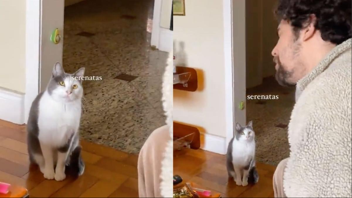 Las tiernas serenatas de un joven a su gata y la reacción que emociona: “La verdadera mirada del amor” Las tiernas serenatas de un joven a su gata y la reacción que emociona: “La verdadera mirada del amor”