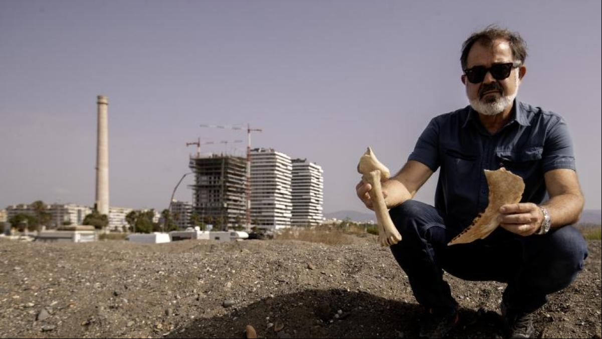 Un vecino de Málaga halla un tesoro de restos prehistóricos en la duna de una playa