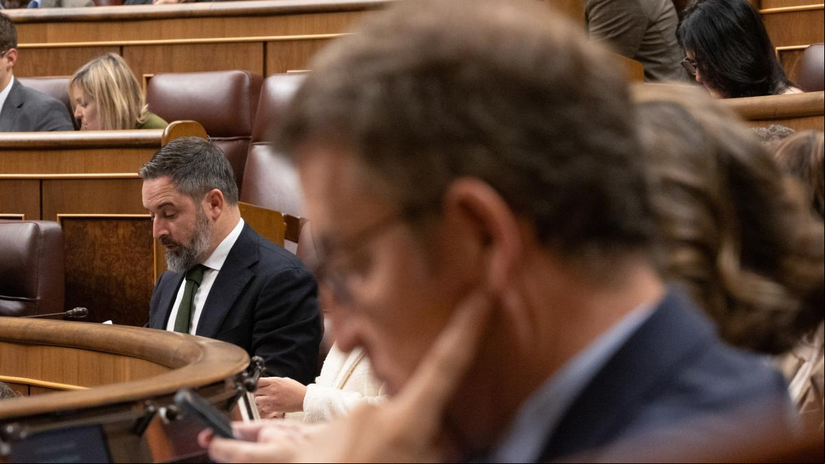 Vuelve la pinza