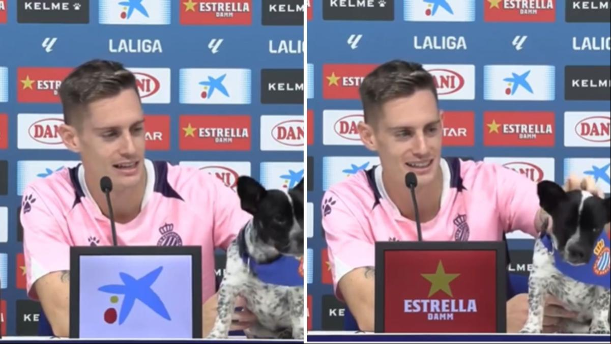 La emotiva escena de Pol Lozano, jugador del Espanyol, con su perro en la rueda de prensa: “Una de las mejores cosas”
