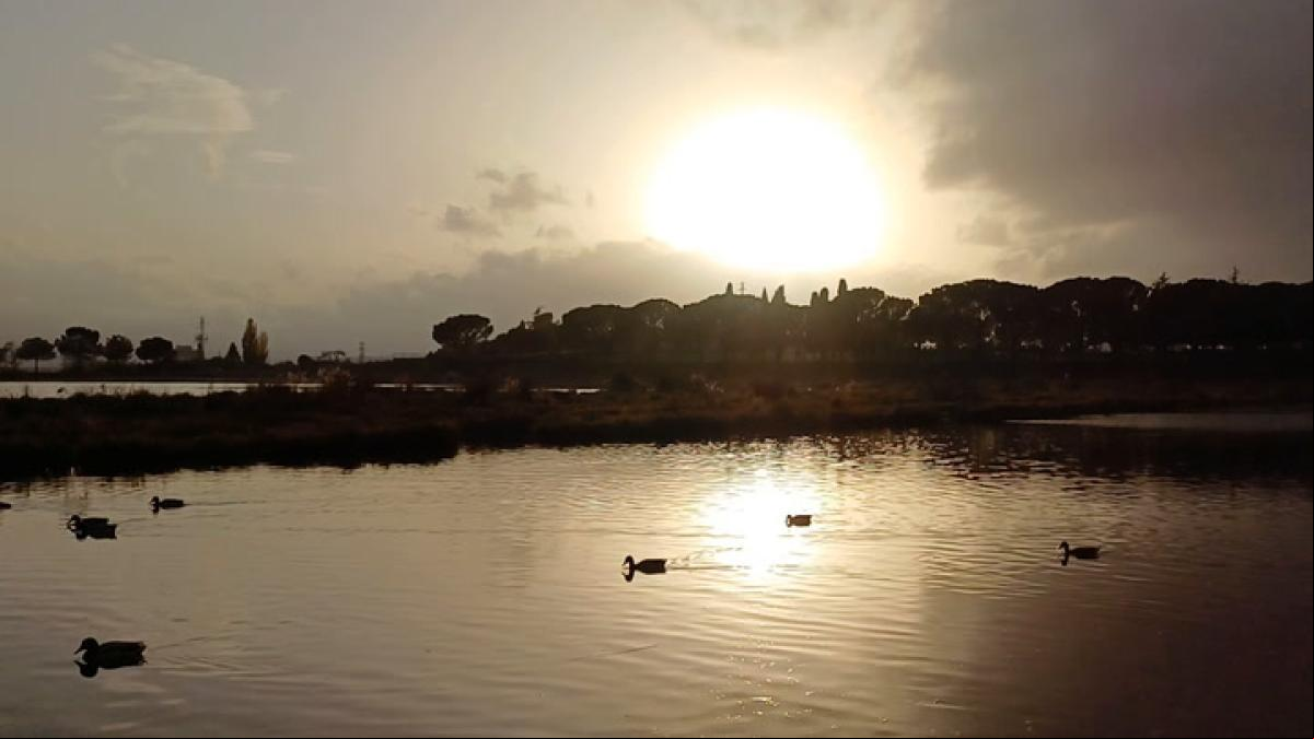 El sereno atardecer otoñal en el Parc de lAgullla