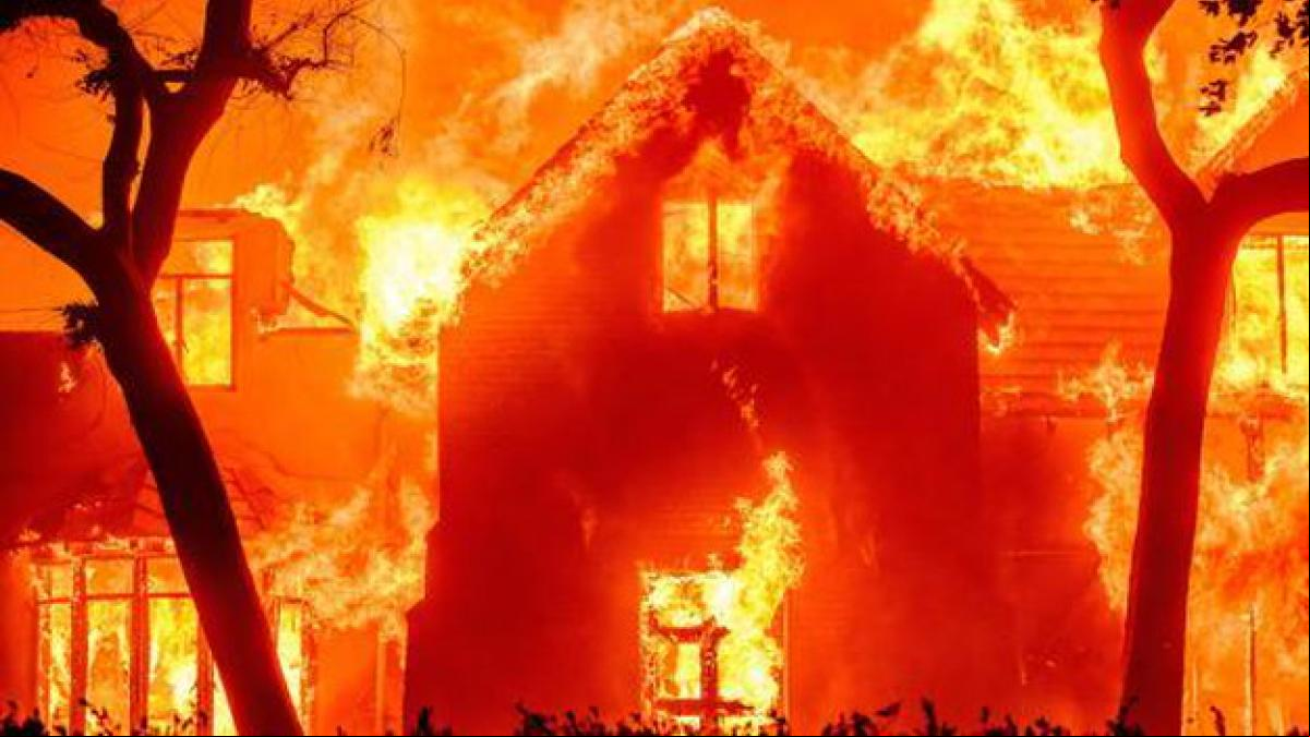 Hollywood pasa del glamur al terror