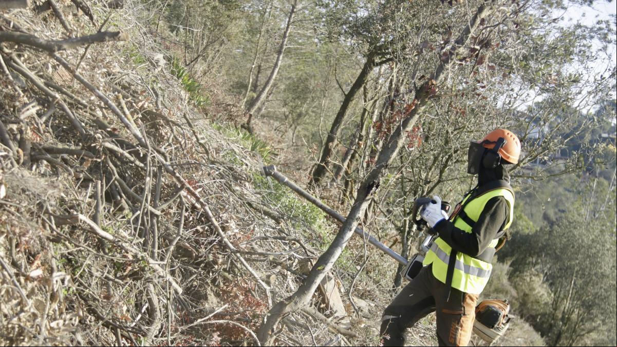 Ordeig alerta de una situación límite en los bosques por falta de gestión: “Estamos jugando con fuego”