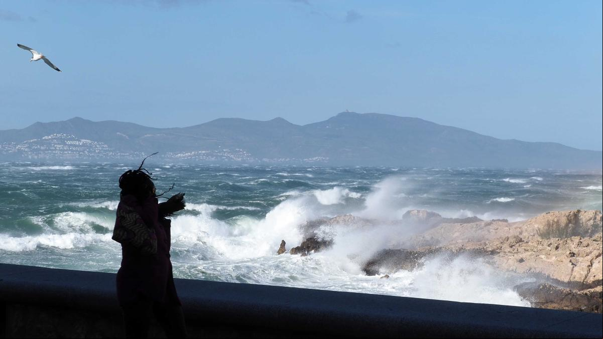 El fuerte viento corta la circulación de trenes y de varias carreteras