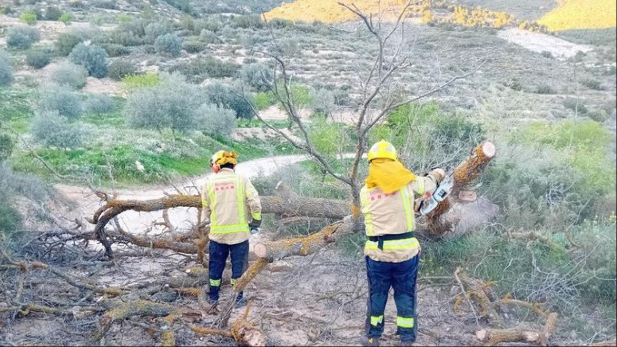 Más de 850 incidencias por viento, que todavía deja rachas de más de 100 km/h en el Empordà