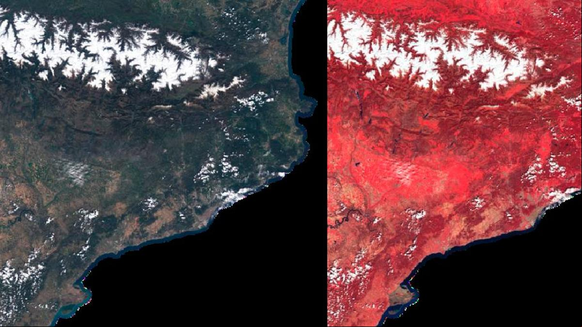 Catalunya vuelve a teñirse de verde en primavera gracias al fin de la sequía