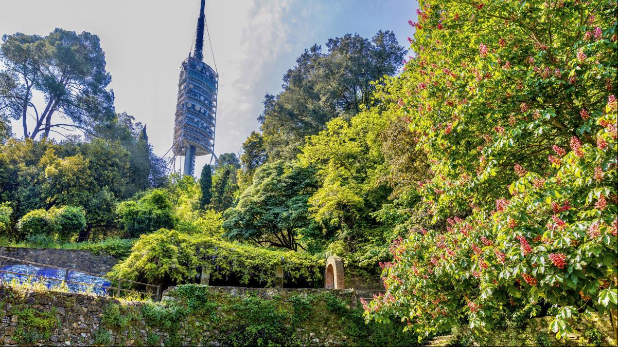 Barcelona restaurarà i recuperarà tretze fonts naturals de Collserola
