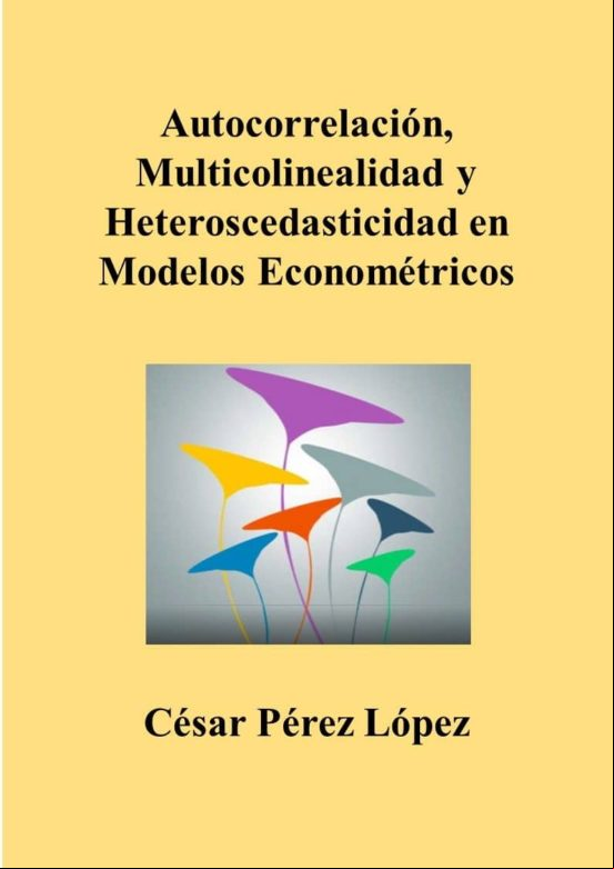 Autocorrelacion Multicolinealidad Y Heteroscedasticidad En Modelos Eco