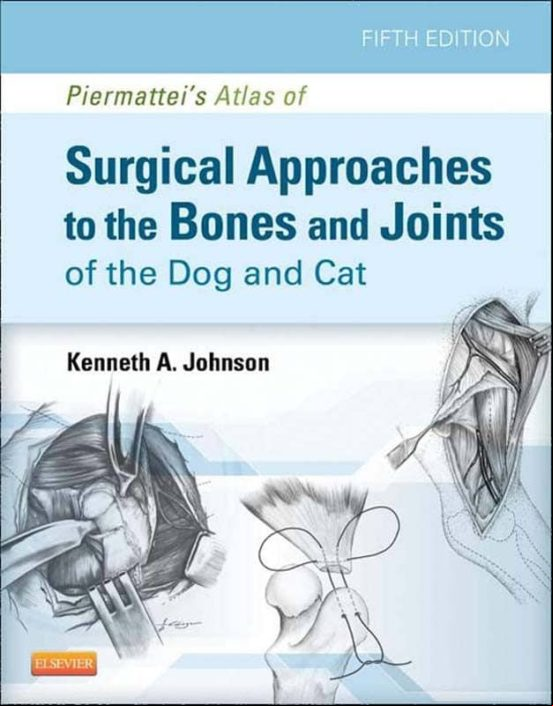 Piermatteis Atlas Of Surgical Approaches To The Bones And ts Of Th