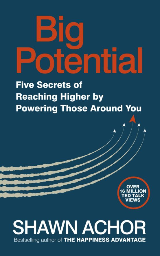 Big Potential (ebook)