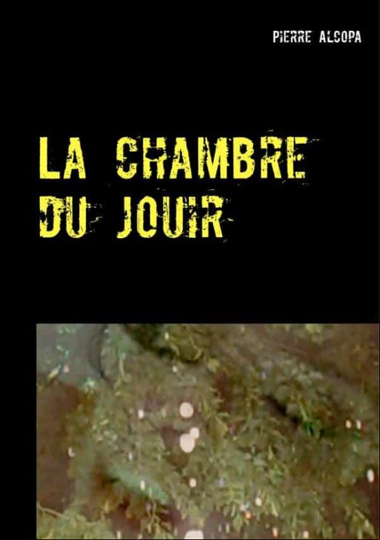 LA CHAMBRE DU JOUIR EBOOK (edición en francés) LA CHAMBRE DU JOUIR EBOOK (edición en francés)