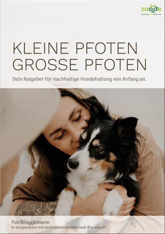 KLEINE PFOTEN, GROSSE PFOTEN EBOOK