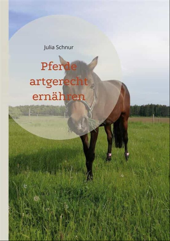 PFERDE ARTGERECHT ERNÄHREN EBOOK (edición en alemán)