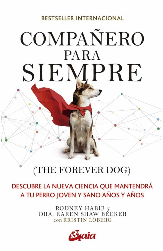 Compañero Para Siempre (the Forever Dog) (e-book) (ebook)