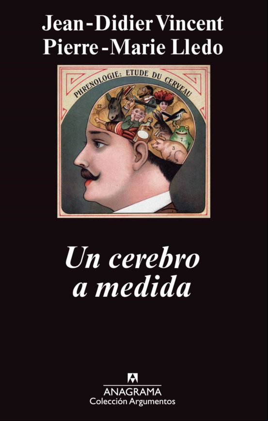 Un Cerebro A Medida (ebook)