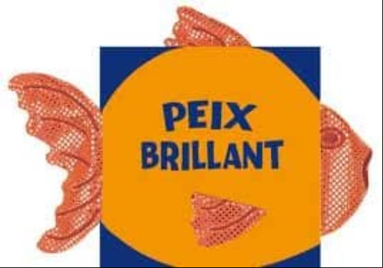 PEIX BRILLANT: ANIMALS QUE BRILLEN (edición en catalán) PEIX BRILLANT: ANIMALS QUE BRILLEN (edición en catalán)