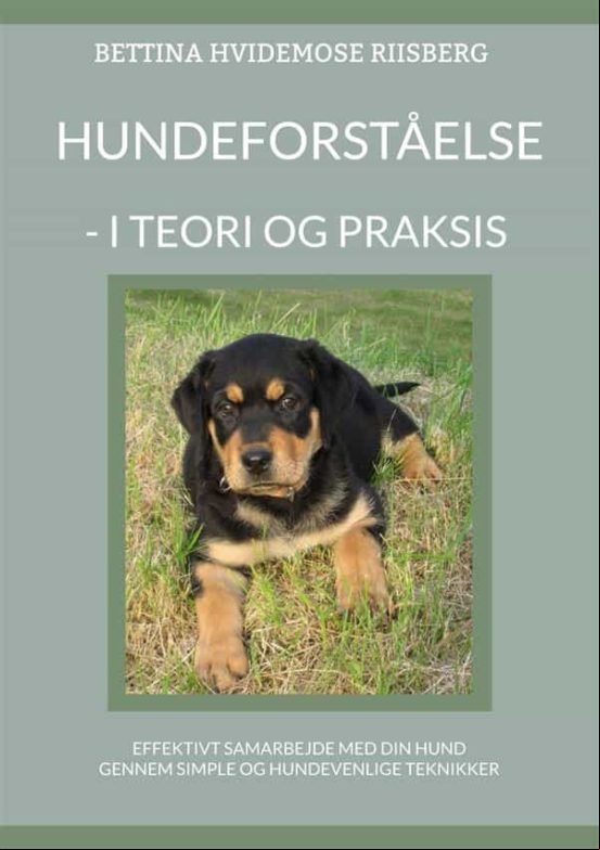 HUNDEFORSTÅELSE EBOOK (edición en danés)