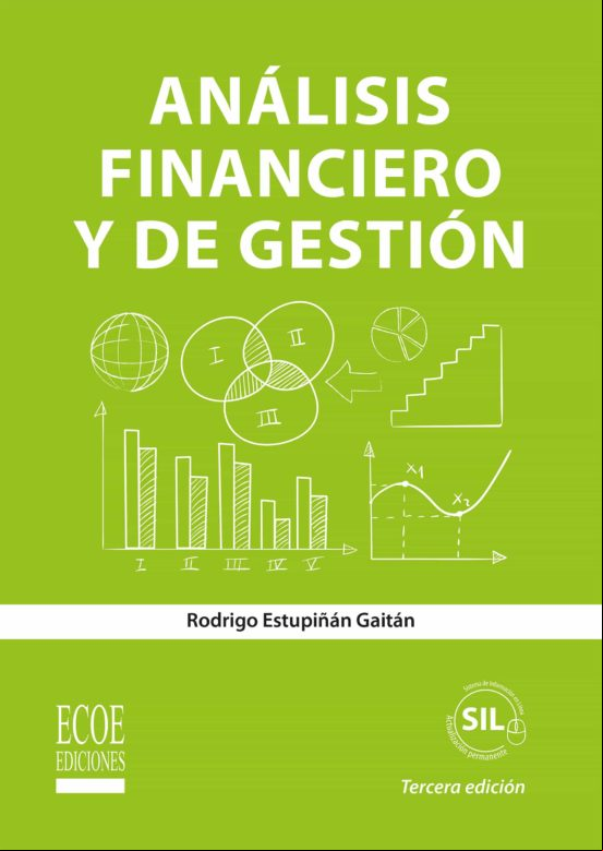 Análisis Financiero Y De Gestión (ebook)