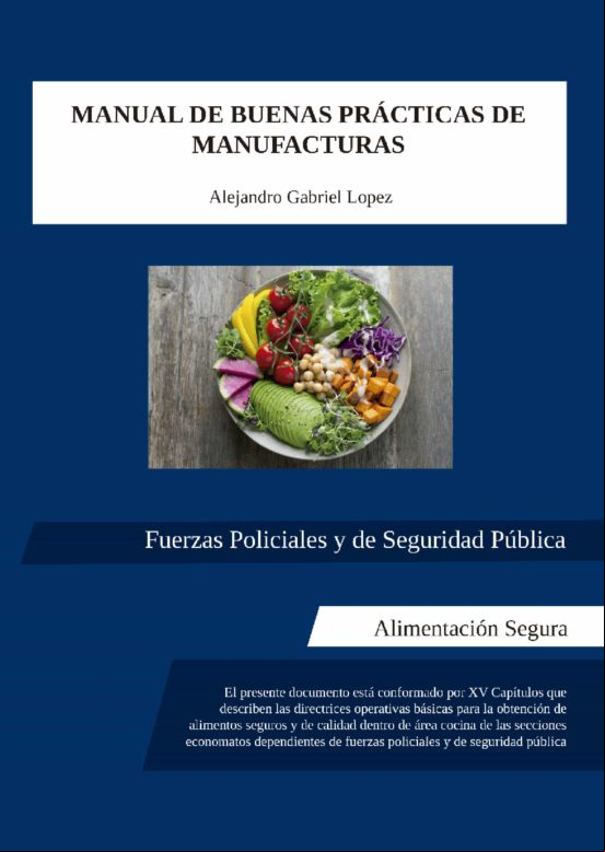 Manual De Buenas Prácticas De Manufacturas (ebook)